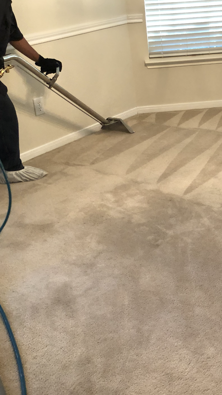 Carpet Care | 4200 W 34th St, Houston, TX 77092, USA | Phone: (832) 962-1068