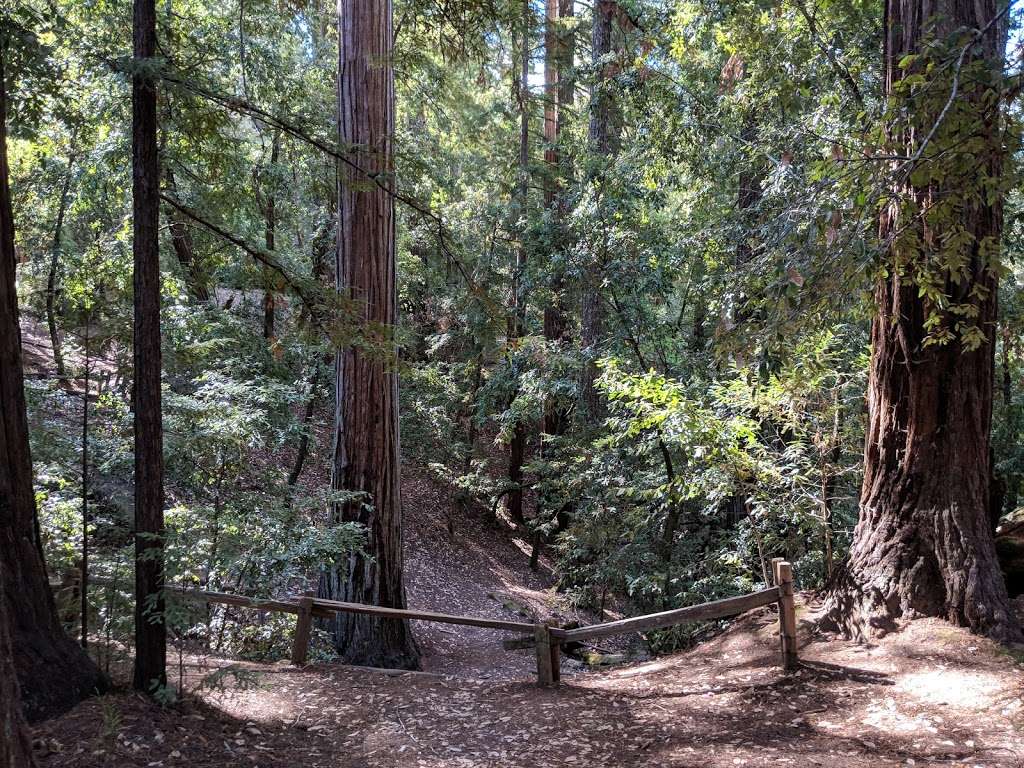 Sequoia Group Camp | Big Basin Hwy, Boulder Creek, CA 95006, USA