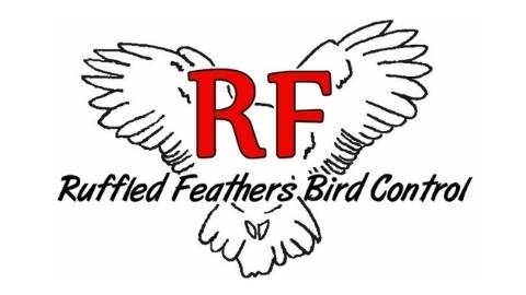 Ruffled Feathers Bird Control | 3124 Ashley Way, Sacramento, CA 95833, USA | Phone: (916) 333-3900