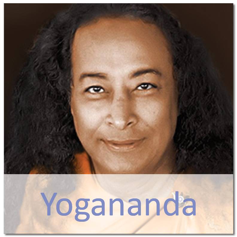 Ananda Washington | 23305 Bothell Everett Hwy, Bothell, WA 98021, USA | Phone: (425) 806-3700