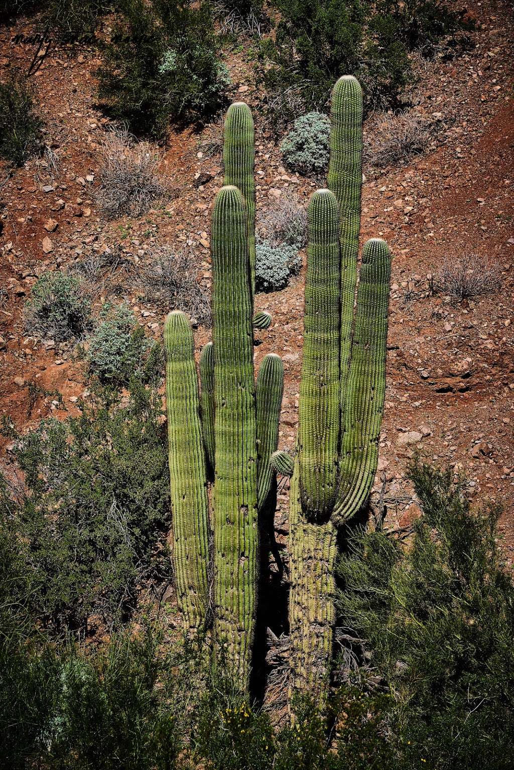 Echo Canyon Trailhead | Unnamed Road, Phoenix, AZ 85018, USA