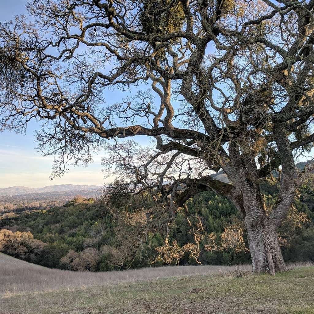 The Preserve Area Trails | The Preserve Area Trails, Pleasanton, CA 94588, USA