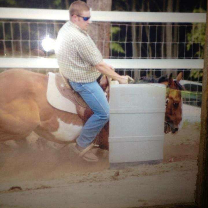 Justin Newland performance horses | 2727 S us Hwy 421, Westville, IN 46391, USA | Phone: (574) 933-2590