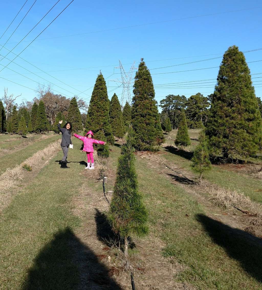 Red Caboose Farm | 14558 Tree Farm Rd, Magnolia, TX 77354, USA | Phone: (281) 259-9776