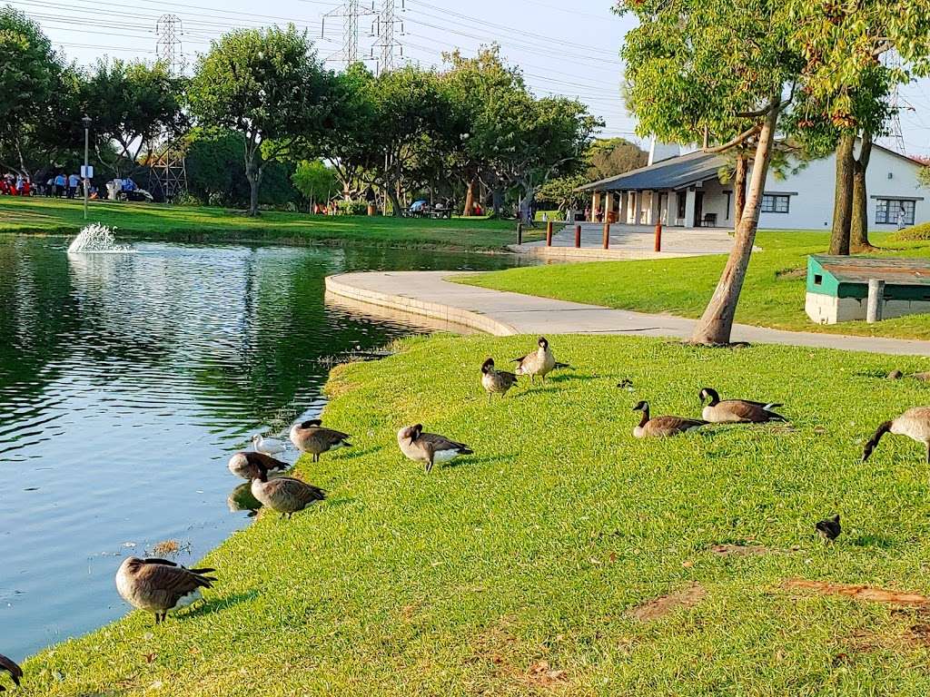 Wilderness Park | 10999 Little Lake Rd, Downey, CA 90241 | Phone: (562) 904-7238