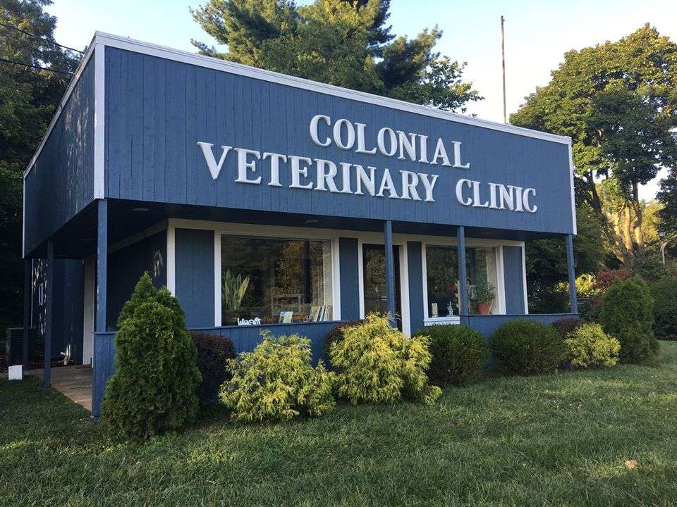 Colonial Veterinary Clinic | 56 County Rd 537, Colts Neck, NJ 07722, USA | Phone: (732) 780-5290