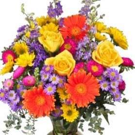 La Violette Flowers & Gifts | 2503 S Main St, Stafford, TX 77477, USA | Phone: (281) 499-6417