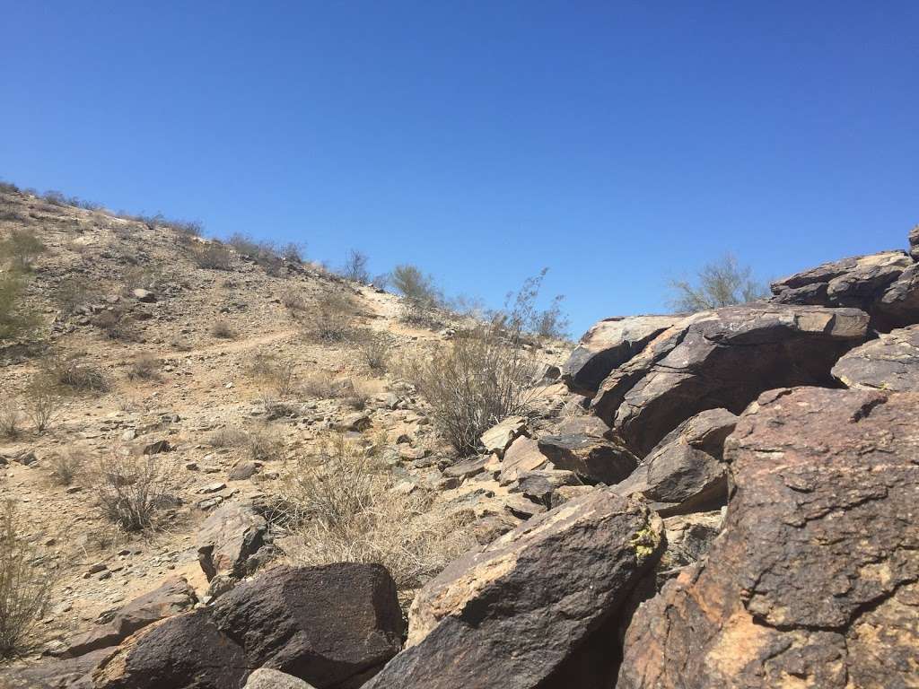 Javelina Canyon Trailhead | Javelina Trail, Phoenix, AZ 85042, USA