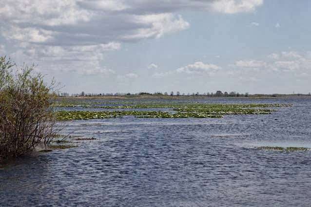 Bassxpress | 5053 Bridal Path Dr, Lakeland, FL 33810, USA | Phone: (863) 393-5635