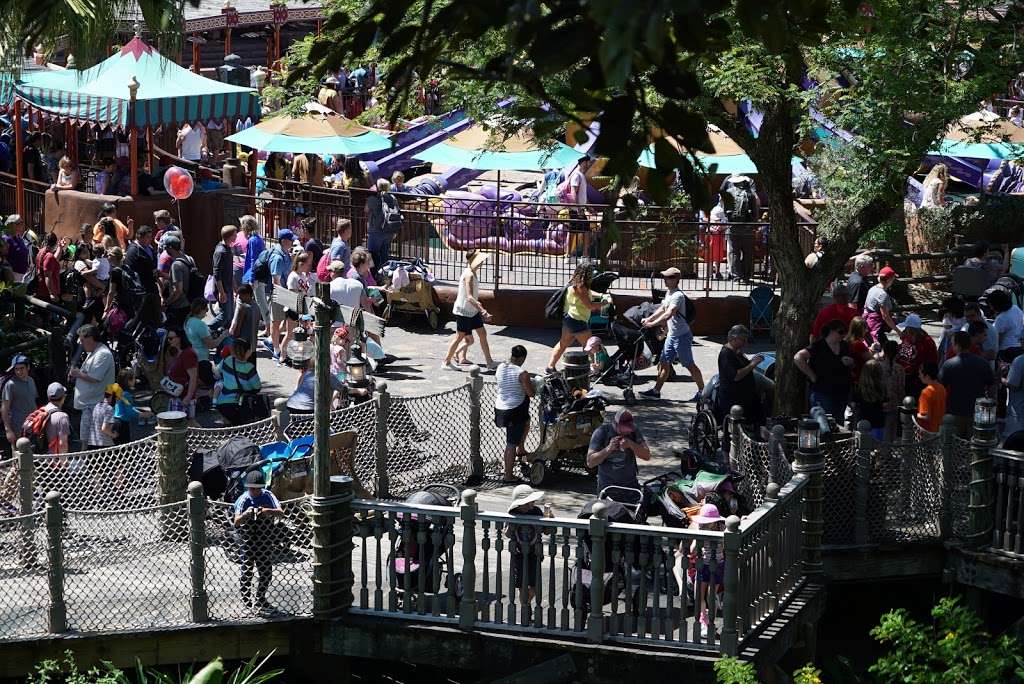 Swiss Family Treehouse | Orlando, FL 32836, USA