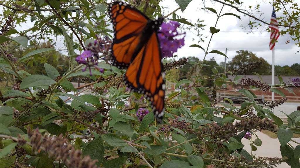 Kings Mountain Greenway Trail | Quarry Rd, Kings Mountain, NC 28086, USA