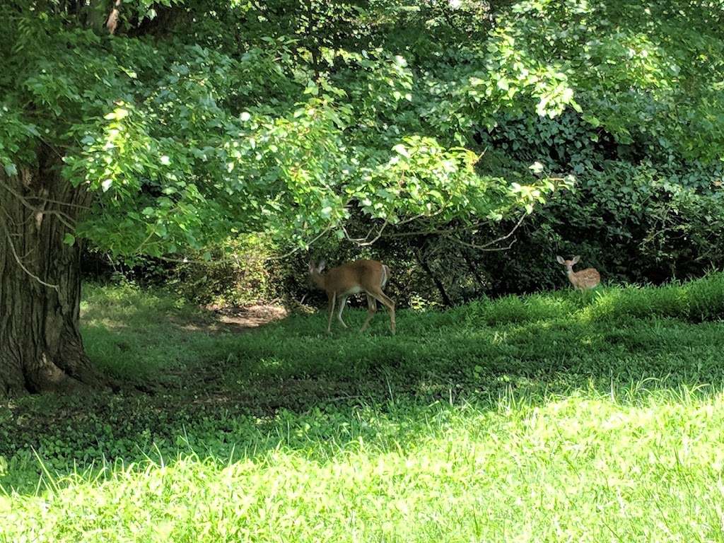 Peterson Lane Park | Vienna, VA 22180, USA