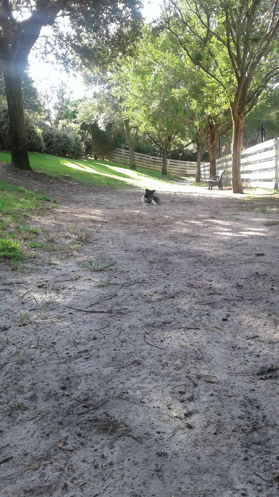 Brinson/Perry Dog Park | 1231 Bonita Blvd, The Villages, FL 32162, USA | Phone: (352) 674-1800