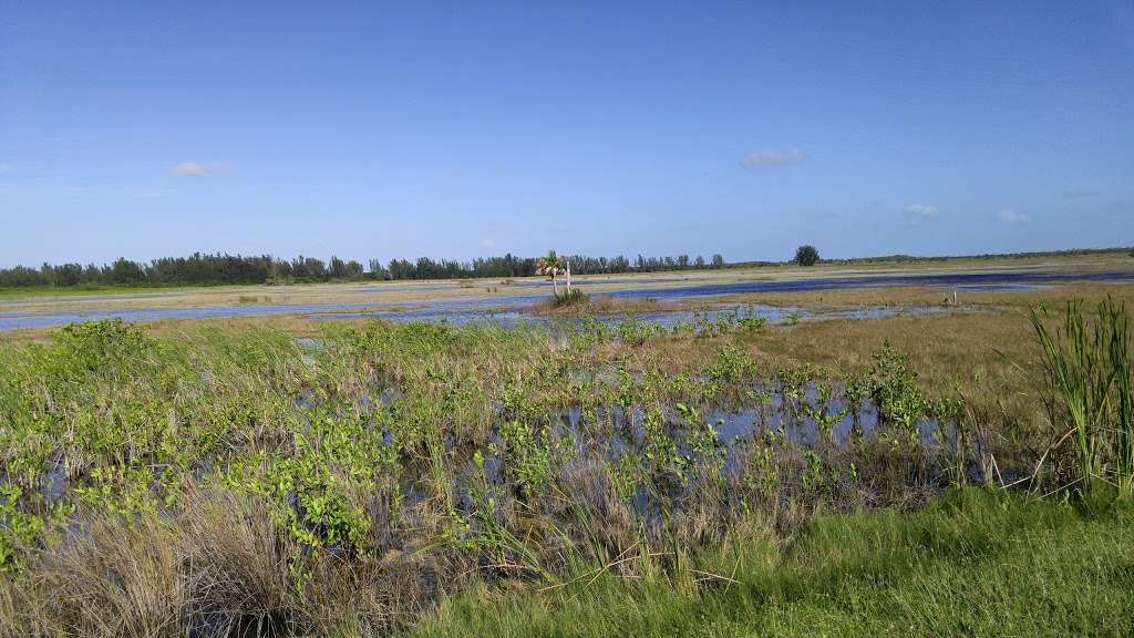 Everglades Wildlife Management Area - Water Conservation Area 2B | Tamarac, FL 33321, USA | Phone: (561) 625-5122