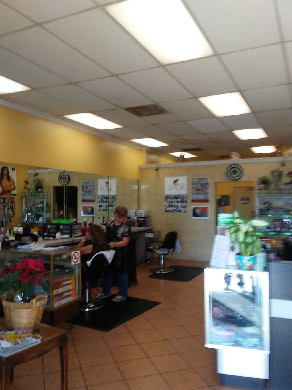 Rosa Hair Salon | 4773 Tyler St, Riverside, CA 92503, USA | Phone: (951) 689-7926