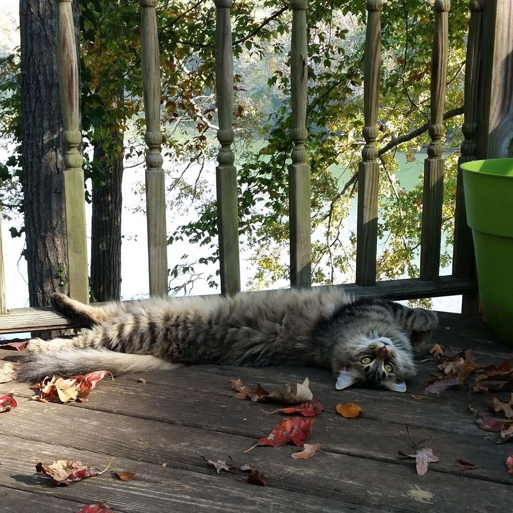 Integrative Mind Body Therapy | 7810 Pineville-Matthews Rd #7, Charlotte, NC 28226, USA | Phone: (704) 771-6251 Integrative Mind Body Therapy | 7810 Pineville-Matthews Rd #7, Charlotte, NC 28226, USA | Phone: (704) 771-6251