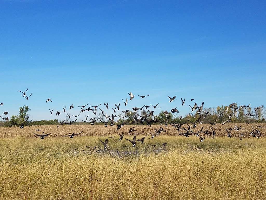 Orland Grove Forest Preserve | Orland Park, IL 60467, USA