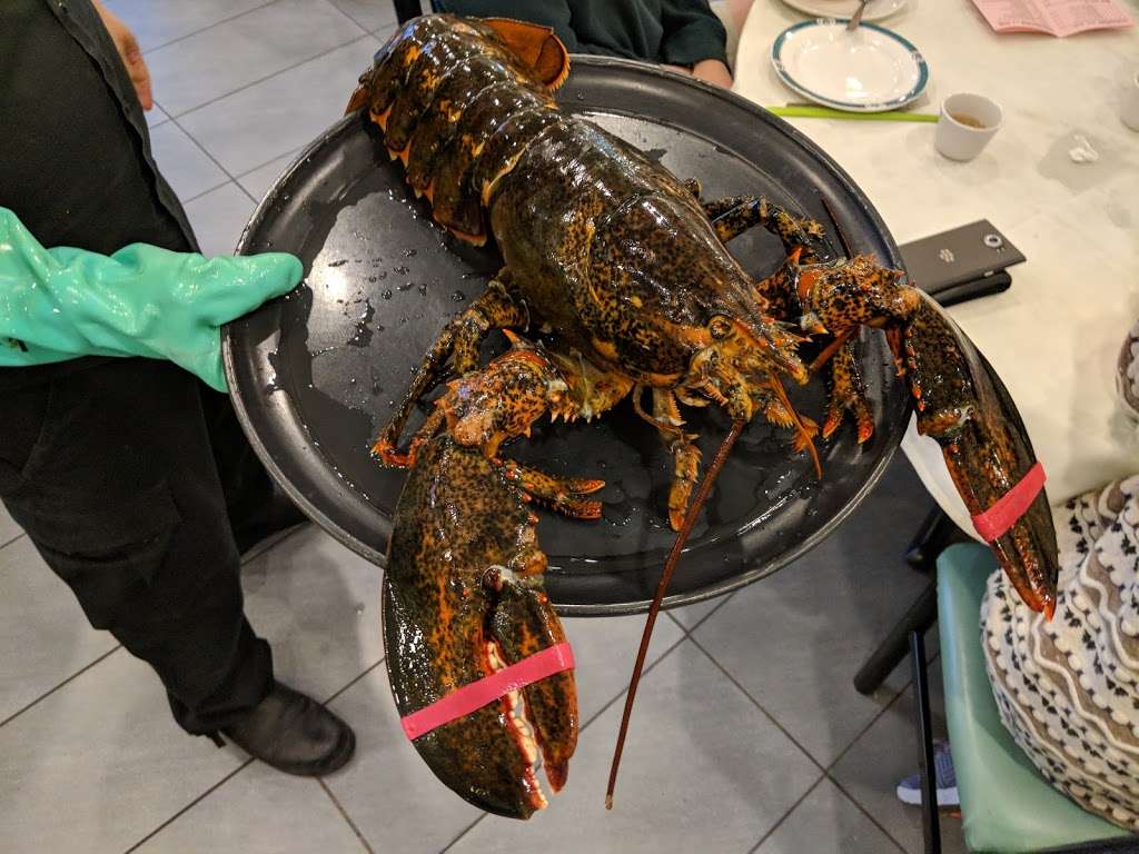 626 Lobster (龍蝦店) | Ste E & F, 8632 Valley Blvd, Rosemead, CA 91770, USA | Phone: (626) 617-6667