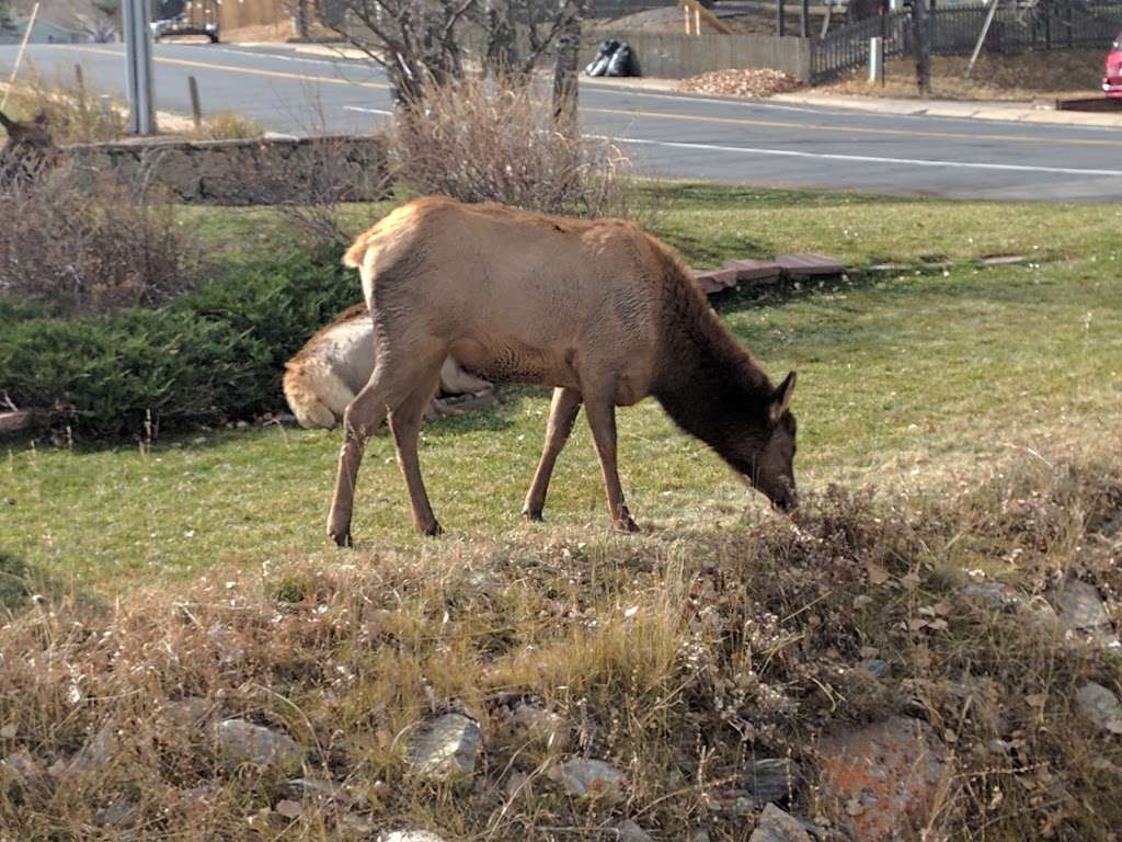 Estes Park Museum | 200 4th St, Estes Park, CO 80517 | Phone: (970) 586-6256