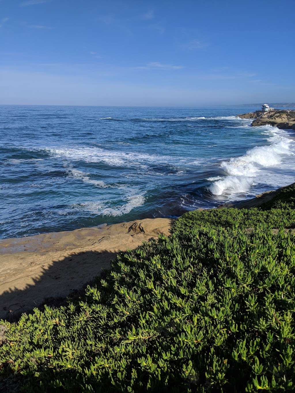 Cuvier Park | 590 Coast Blvd S, La Jolla, CA 92037, USA | Phone: (619) 235-1169