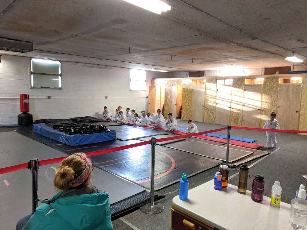 Blue Knight Taekwondo | 9880 Maple St, Bridgman, MI 49106, USA | Phone: (269) 465-9880