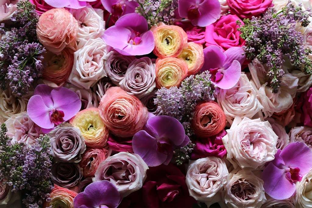 Raimondis Florist | 5725 Richards Valley Rd, Ellicott City, MD 21043, USA | Phone: (410) 730-5885