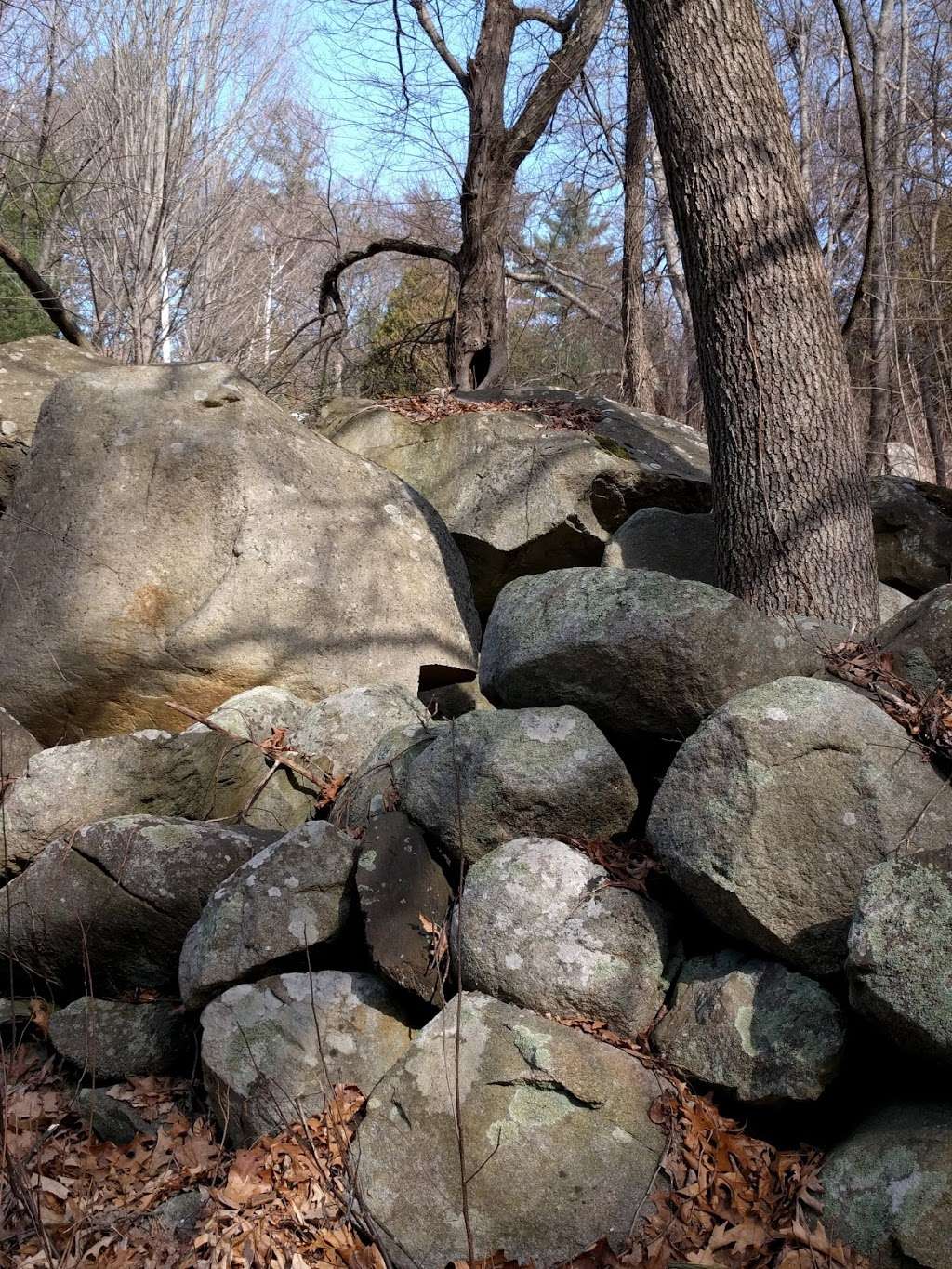 Cider Mill Pond Conservation Area | Westford, MA 01886, USA