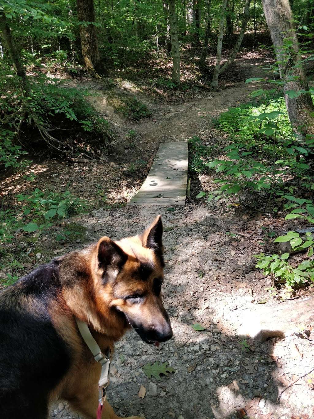 Poor Farm Park | 13400 Liberty School Rd, Ashland, VA 23005, USA | Phone: (804) 275-0722