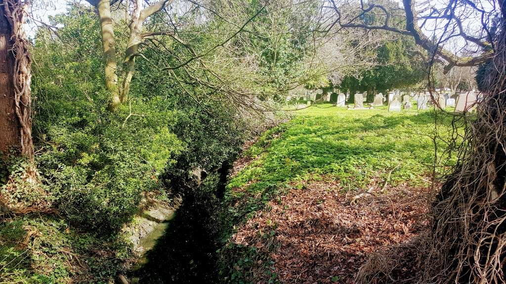 Tottenham Cemetery | White Hart Ln, London N17 8AT, UK | Phone: 020 8363 8324