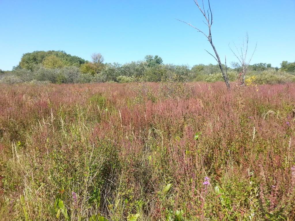 Harriet Alexander Nature Center | 2520 Dale St N, Roseville, MN 55113 | Phone: (651) 765-4262