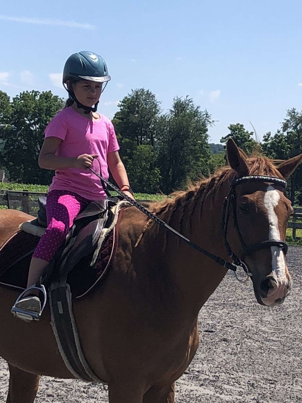 Walders Way Equestrian Center | 1140 Union School Rd, Mount Joy, PA 17552 | Phone: (484) 904-5517