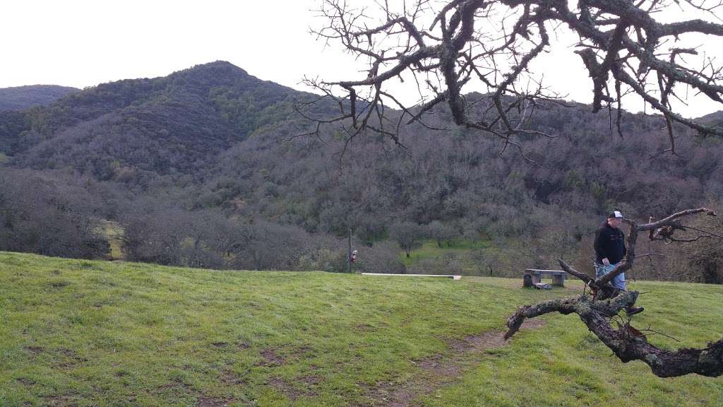 Suggest edits to improve what we show. Skyline Wilderness Park 2201 Imola Ave, Napa, CA 94559