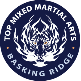 Top Mixed Martial Arts | 572 Allen Rd, Basking Ridge, NJ 07920, USA | Phone: (908) 506-1016