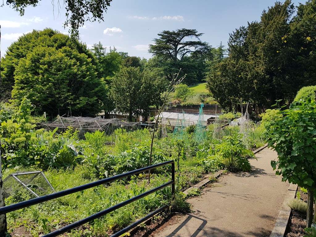 Streatham Common Community Garden | London SW16 3BY, UK