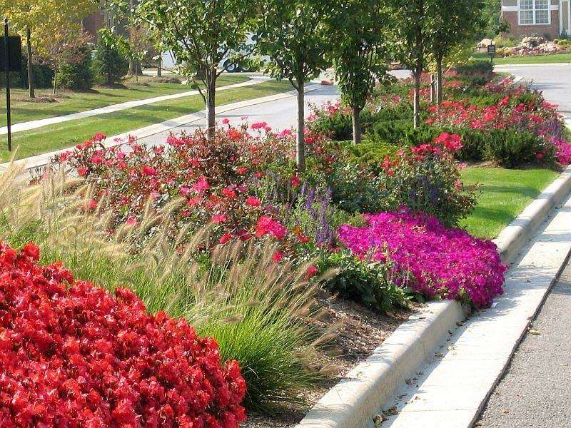 Indianapolis Landscape Companies of Raskscapes | 229 S Muessing St, Cumberland, IN 46229, USA | Phone: (317) 863-2565