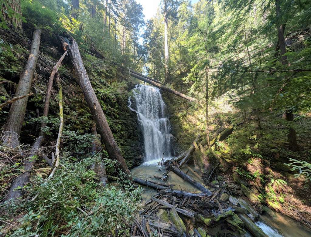 West Waddell Creek State Wilderness | Davenport, CA 95017