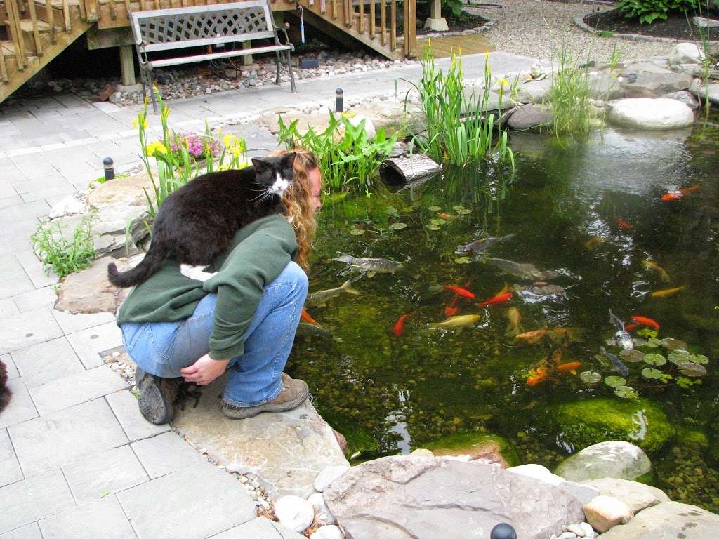 Landvista Aquascapes LLC in 212 White Horse Pike, Atco, NJ 08004, USA