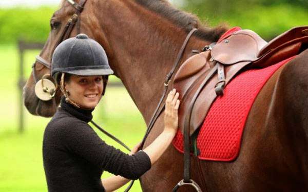 Denver Equestrians Riding School | 5200 W Coal Mine Ave, Littleton, CO 80123, USA | Phone: (303) 973-0077