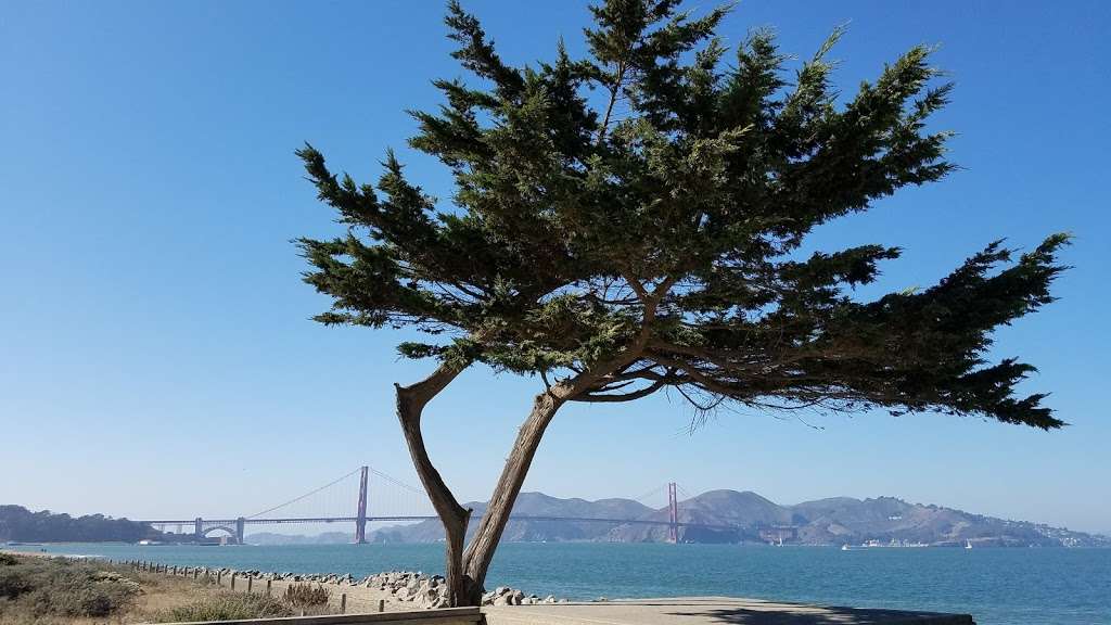 Crissy Field | San Francisco, CA 94129, USA