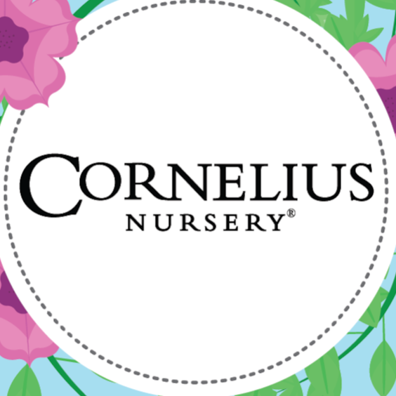 Cornelius Nursery | 1403 Westborough Dr, Katy, TX 77449, USA | Phone: (281) 994-0374