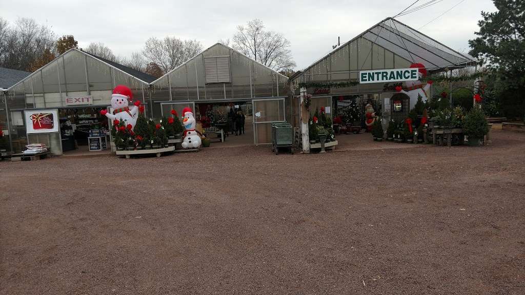 Williams Nursery | 524 Springfield Ave, Westfield, NJ 07090, USA | Phone: (908) 232-4076