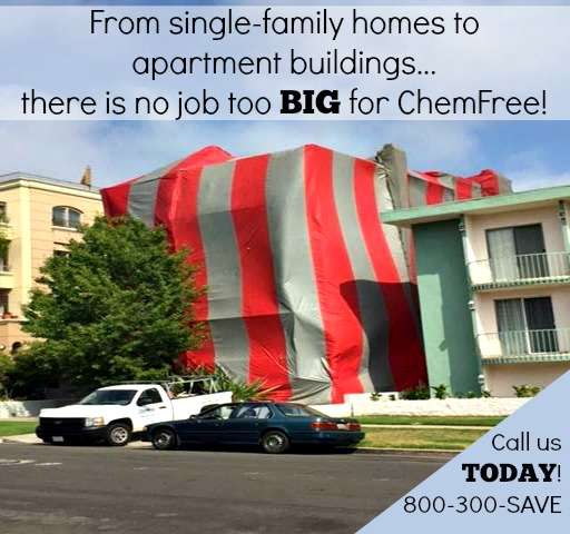 Chemfree Exterminating | 518 S Central Park Ave E, Anaheim, CA 92802, USA | Phone: (800) 300-7283