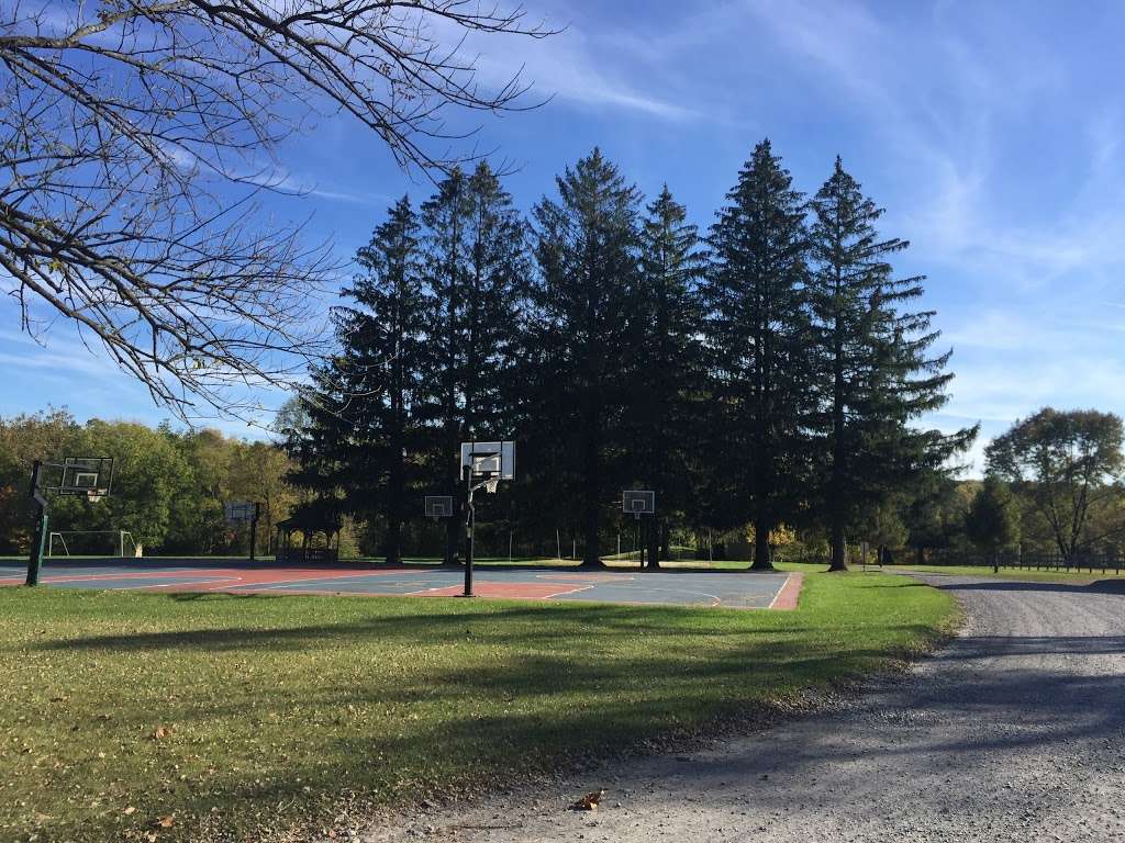 Rambling Pines Day Camp | 174 Lambertville Hopewell Rd, Hopewell, NJ 08525, USA | Phone: (609) 466-1212