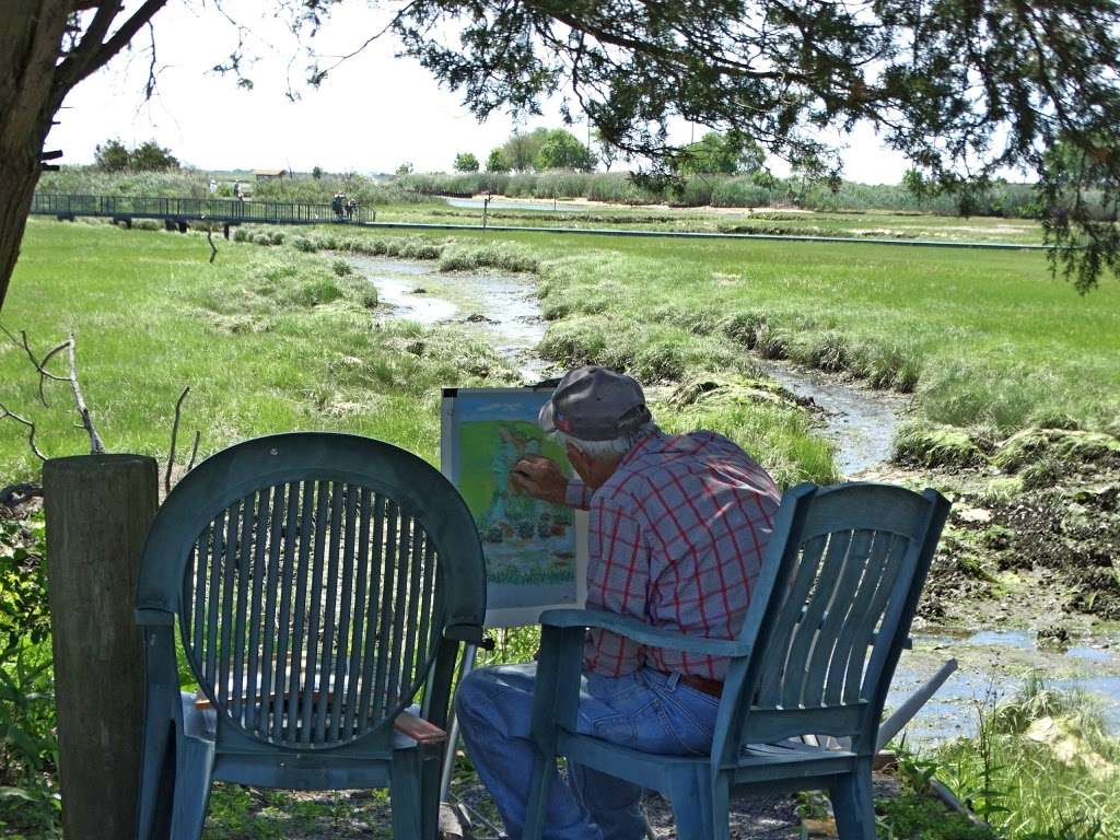 Marine Nature Study Area | 500 Slice Dr, Oceanside, NY 11572, USA | Phone: (516) 766-1580