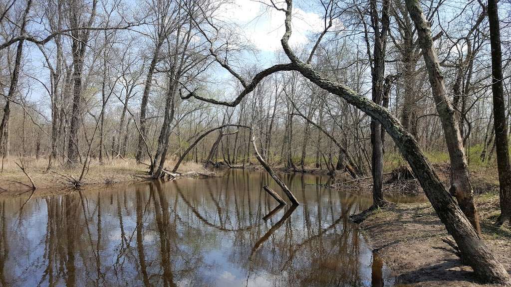 Glenhurst Meadows Nature Trail | Warren, NJ 07059, USA