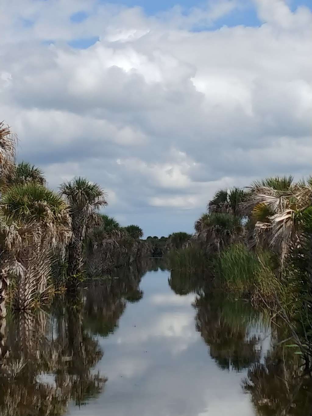 Upper St. Johns River Marsh Wildlife Management Area | Melbourne, FL 32904, USA | Phone: (386) 329-4404