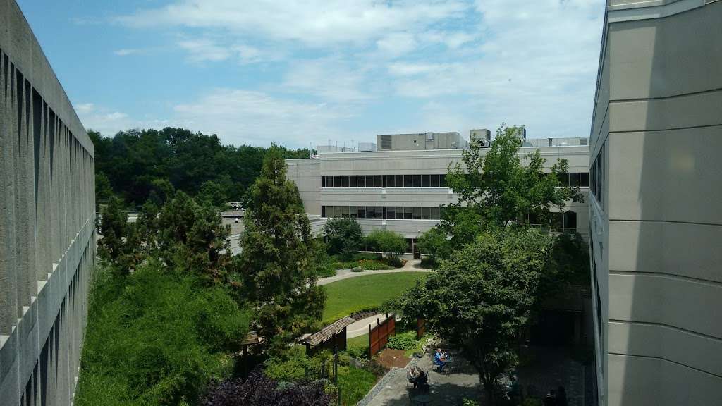 Cloister Garden at St. Mary Medical Center | 1205 Newtown-Langhorne Rd, Langhorne, PA 19047, USA