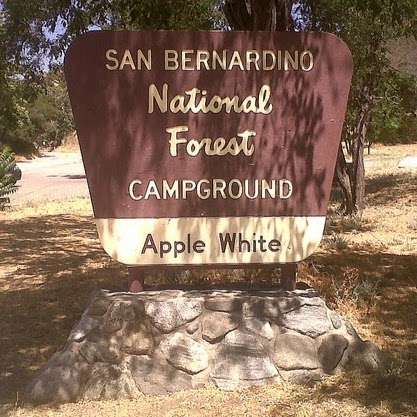 Applewhite Campground | 487 N Lytle Creek Canyon Road, Lytle Creek, CA 92358 | Phone: (909) 382-2851