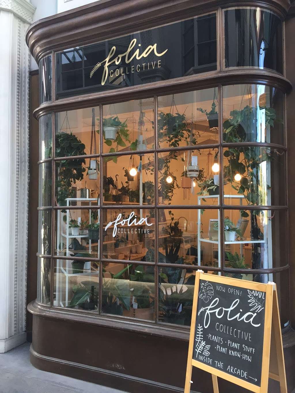 Folia Collective | 5117 Eagle Rock Blvd, Los Angeles, CA 90041 | Phone: (626) 787-4957