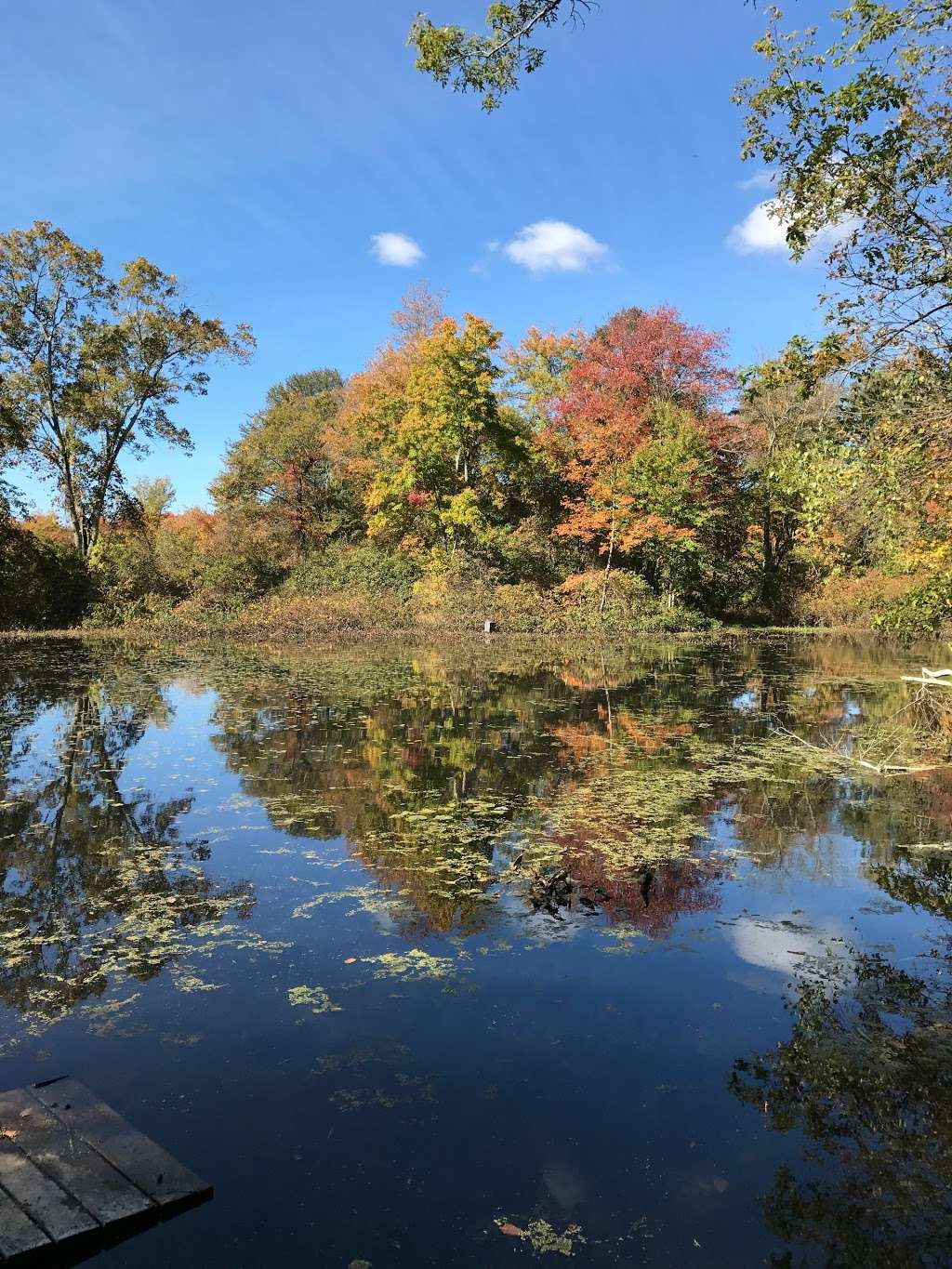 Friends of Boyden Refuge | 1298 Cohannet St, Taunton, MA 02780, USA | Phone: (508) 821-1676